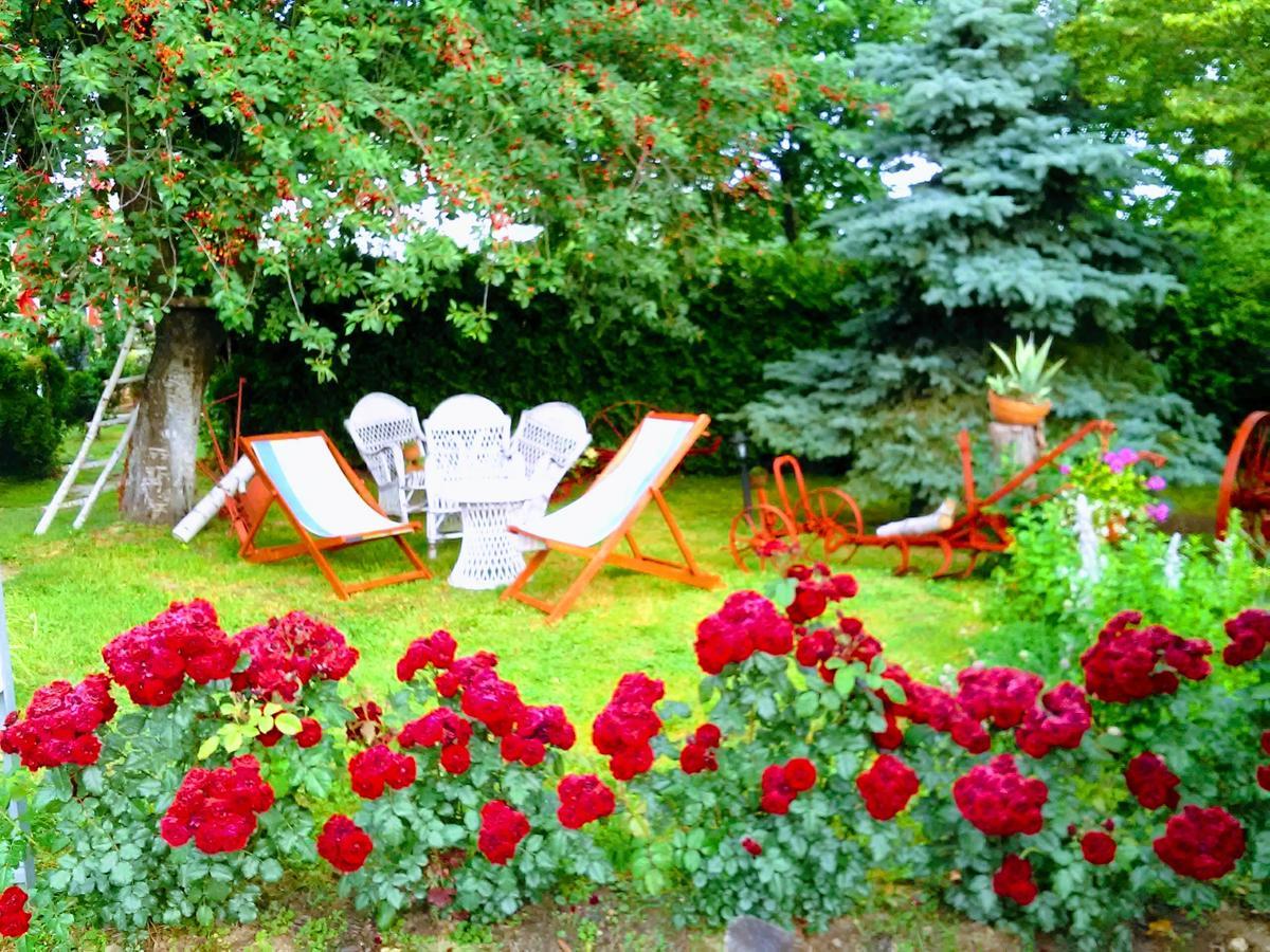 Bed and Breakfast Klet Cinkus Hrvatski Leskovac Екстер'єр фото