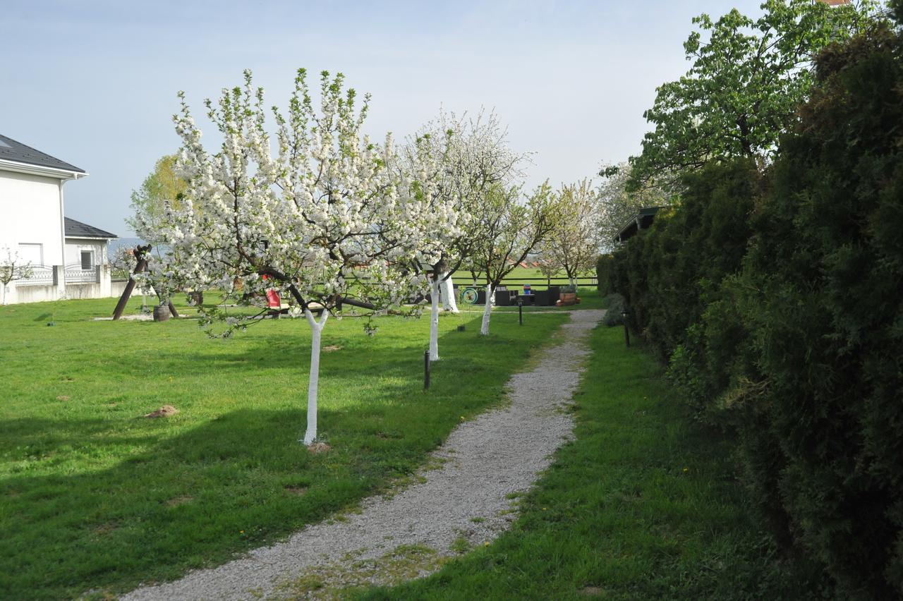 Bed and Breakfast Klet Cinkus Hrvatski Leskovac Екстер'єр фото